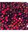 perles de rocaille pourpre -40% dernier lot
