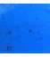 Verre turquoise clair transparent