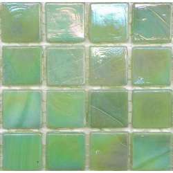 Asparagus opaline -20