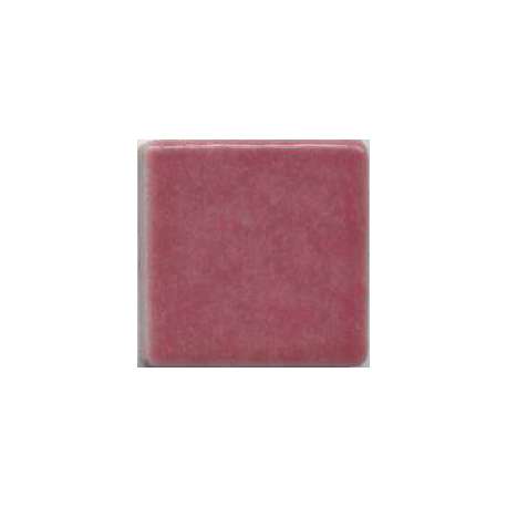 Fuschia