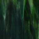 Verre olive